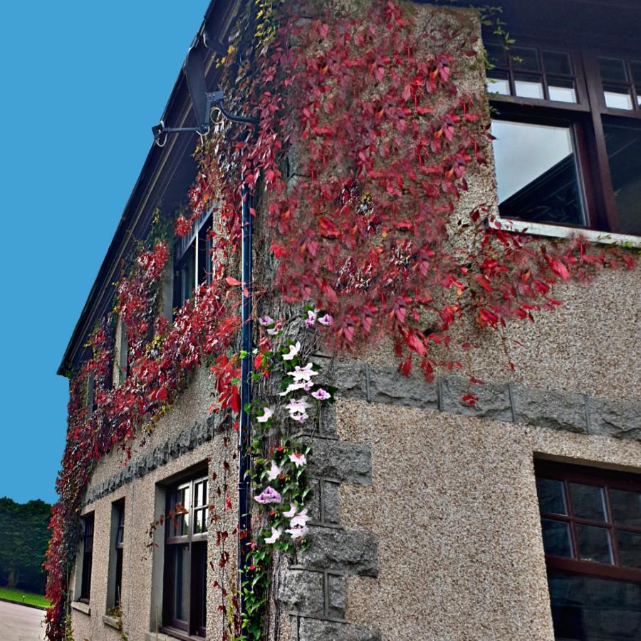 班科里 Bogenraith House酒店 外观 照片
